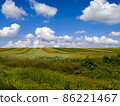 Summer landscape 86221467