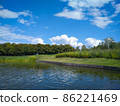 Summer landscape 86221469