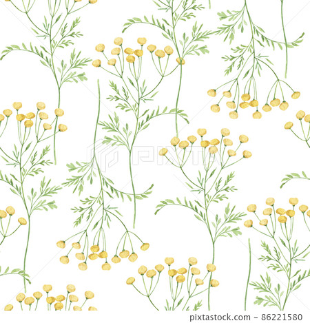 Watercolor botanical seamless pattern Delicate meadow wildflowers. Hand drawn tansy Floral print. For birthday card, invitation, happy easter, wedding cards, invitation card, congratulations card. 86221580