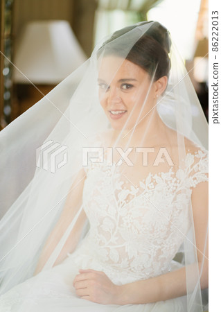 portrait of a beautiful and gentle bride under a veil. femininity and beauty. portrait of a beautiful and gentle bride under a veil. femininity and beauty. 86222013