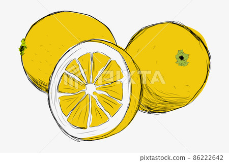 Lemons drawn by hand. Lemon in section handdrawn. Lemons drawn by hand. Lemon in section handdrawn. 86222642