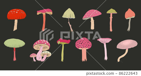 A set of various mushrooms drawn by hand. A set of various mushrooms drawn by hand. 86222643