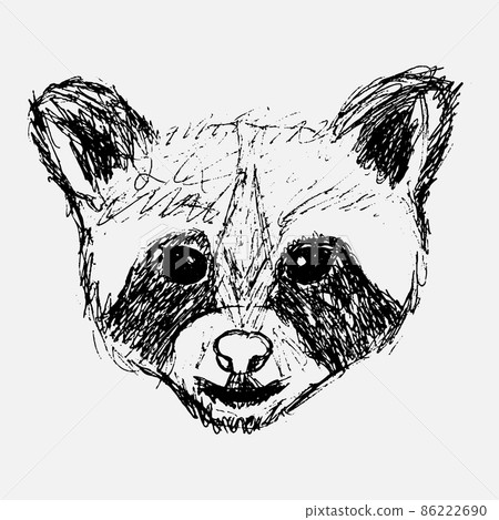 Image of a raccoon drawn with a pen and a pencil. Image of a raccoon drawn with a pen and a pencil. 86222690