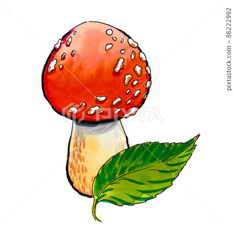Poisonous red fly-agaric mushroom and green leaf 86222992