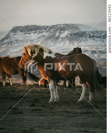 landscape, winter, camergirl 86223042