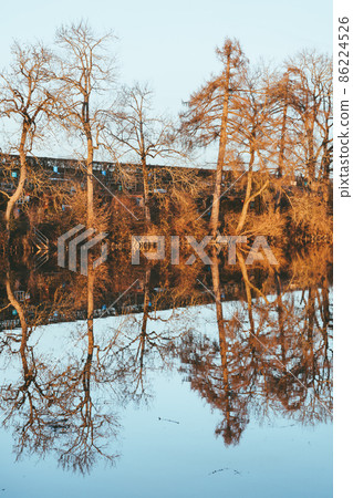 Drei Weihern or three lime trees in St.Gallen, Switzerland 86224526