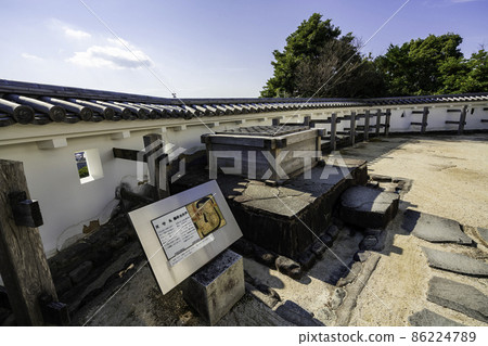 掛川城 靜岡縣掛川市 86224789