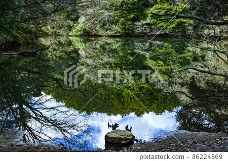 Natural beauty of Aihara Pond, Forest Forest Park Natural beauty of Aihara Pond, Forest Forest Park 86224869