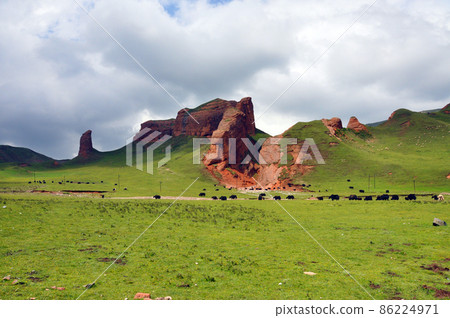 Yak grazing in the grasslands of Laji Mountain, Hainan Tibetan Autonomous Prefecture, Amdo Region, Qinghai Province, China Yak grazing in the grasslands of Laji Mountain, Hainan Tibetan Autonomous Prefecture, Amdo Region, Qinghai Province, China 86224971