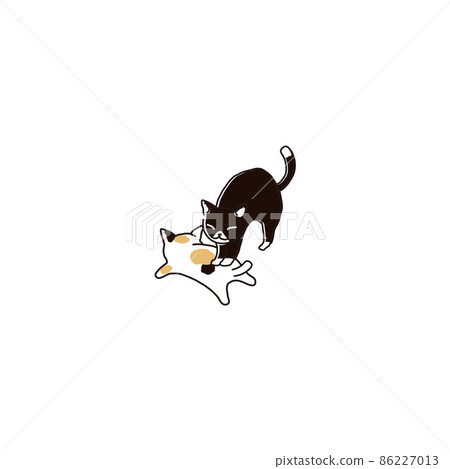 Cat Cat 86227013