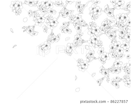 Sakura Line Frame Sakura line drawing frame ⑤ (black, lick, top) - Stock Illustration ...