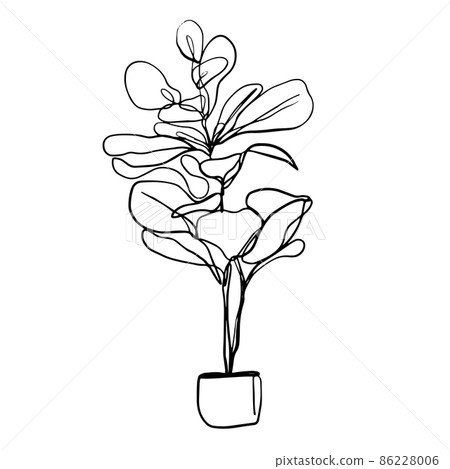 Leaves and tropical palm tree line foliage isolated on white background. vector design 86228006