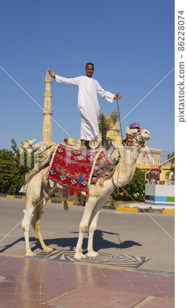 Arab man standing on a camel aagainst the mosque Arab man standing on a camel aagainst the mosque 86228074