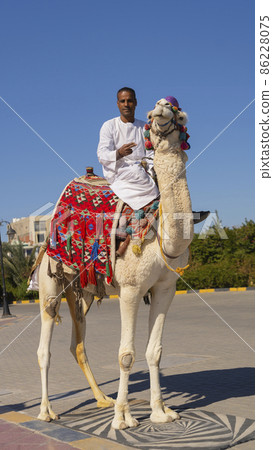 Arab man sitting on a camel in a touristic area. 86228075