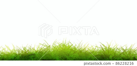 Lawn image (background image) Lawn image (background image) 86228216
