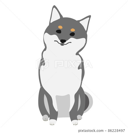 Kuroshiba sits with his neck bent 86228497