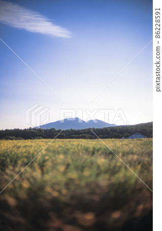 Landscape with medow, hill and sky background 86228591