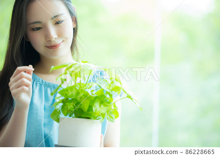 觀賞植物雌 觀賞植物雌 86228665