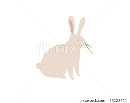 Vector illustration of brown wild rabbit eating grass Vector illustration of brown wild rabbit eating grass 86228731