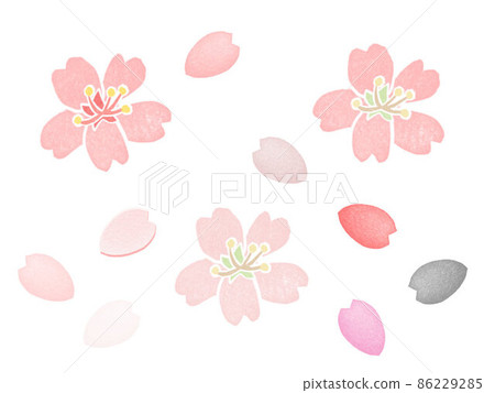 Sakura Sakura Petal Stamp Hanko Color Set - Stock Illustration ...