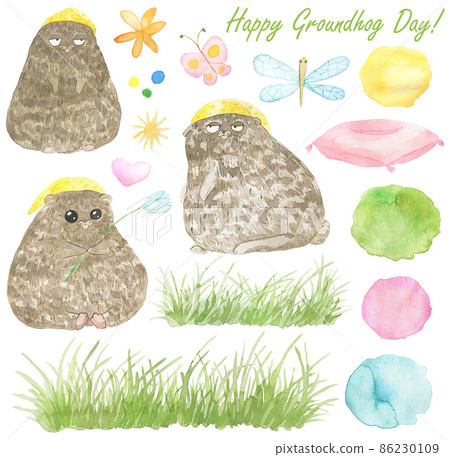 Design set with adorable kawaii woodchuck animal, grass and butterfly isolated on white, watercolor illustration for Happy Groundhog Day greeting card, welcome spring concept  86230109