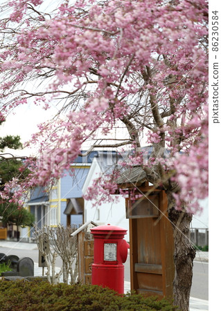 Scenery with Esashi Maru Post in Hokkaido (in front of Esashi Town Meeting Hall) 86230584