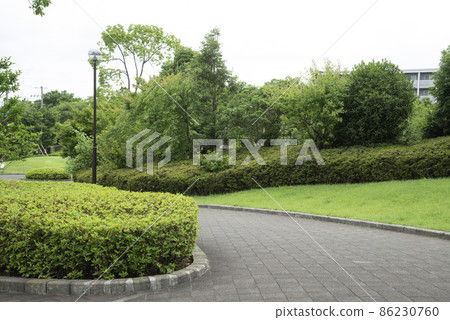 背景彎曲的公園人行道 86230760