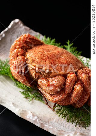 北海道馬毛蟹 86230814