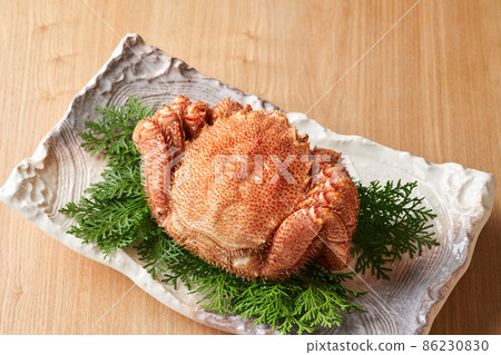 Hokkaido horsehair crab 86230830