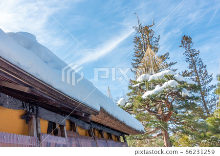 Yukitsuri thatched roof that protects trees from snow damage 86231259