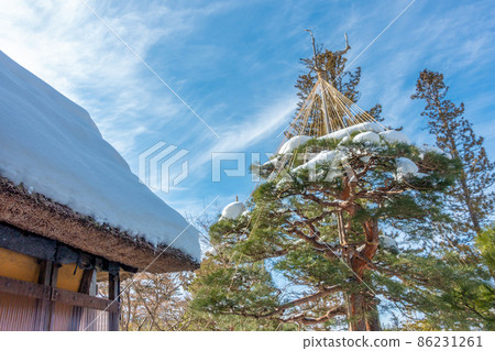 Yukitsuri茅草屋頂保護樹木免受雪災 86231261