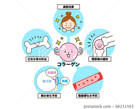 Effect of collagen 86231563