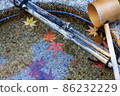 Fallen leaves 86232229