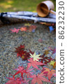 Fallen leaves 86232230