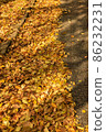 Fallen leaves 86232231