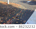 Fallen leaves 86232232