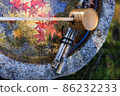 Fallen leaves 86232233