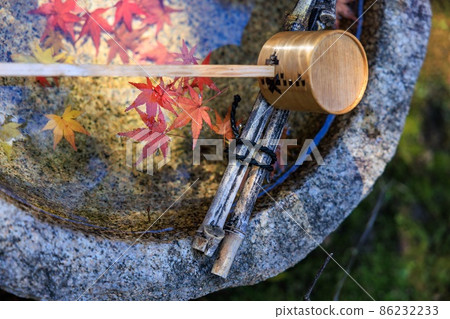 Fallen leaves Fallen leaves 86232233