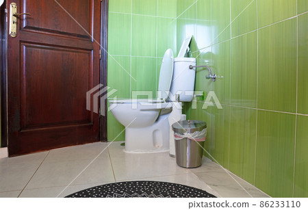 Toilet in a green bathroom Toilet in a green bathroom 86233110