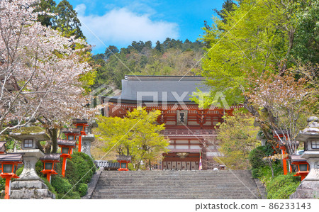 春天，在鞍馬寺二王門前，綠意盎然，櫻花盛開 86233143