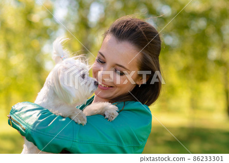 Young girl with her dog. Puppy white dog is running with it's owner. Concept about friendship, animal and freedom. Young girl with her dog. Puppy white dog is running with it's owner. Concept about friendship, animal and freedom. 86233301