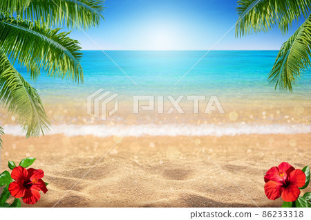 Summer sandy beach with blured tropical sea view decorate with red flower of cha ba flowers as frame 86233318