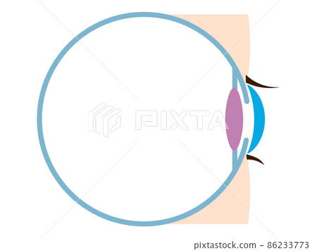 簡單的眼睛橫截面 86233773