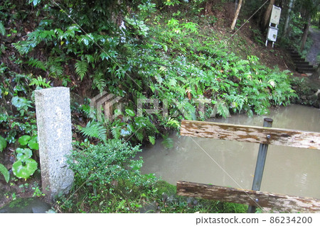 Tamatsukuriyu Shrine [Tamatsukuriyu Shrine] / Matsue City, Shimane Prefecture 86234200