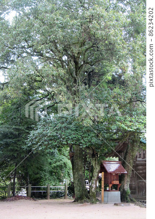 新北的 Yuhime Tsubaki 和 Yuhime Daimei 神社 [Tamatsukuriyu 神社] / 島根縣松江市 86234202