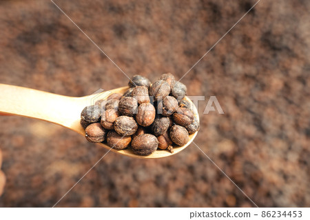 Coffee beans are dried in the greenhouse. 86234453