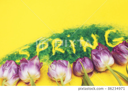 The inscription Spring from decorative green grass on a yellow background with a watering can and flowers tulips 86234971