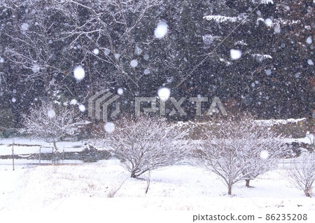 下雪天 86235208