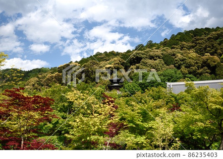 Kyoto Fresh Green Eikando's Tahoto and Mountains 86235403