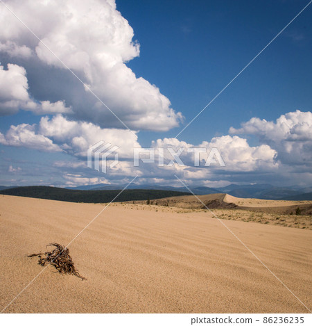 The landscape with Chara desert sands colored 86236235